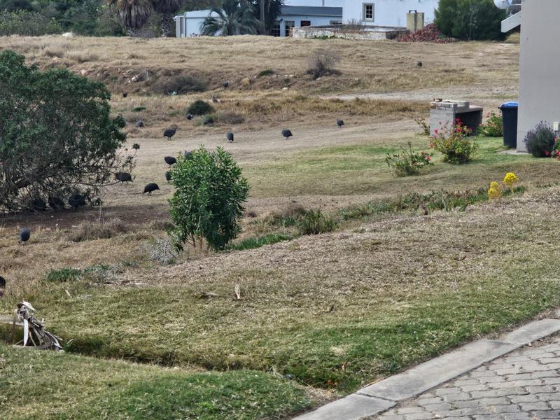 0 Bedroom Property for Sale in Vakansieplaas Western Cape